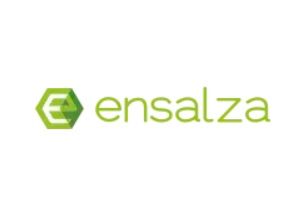 Una de las mejores agencias de diseño web es Ensalza, logo