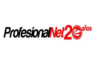 Una de las mejores agencias de diseño web es ProfesionalNet, logo