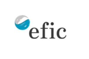 Una de las mejores academias de coaching en Madrid es EFIC, logo