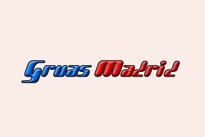 Uno de los mejores servicios de grúas en Madrid es Grúas Madrid, logo