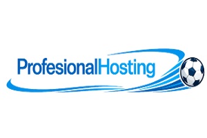 Profesional Hosting