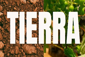 Vinoteca Tierra